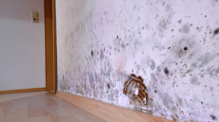 Mistakes to avoid when hiring water damage restoration professionals