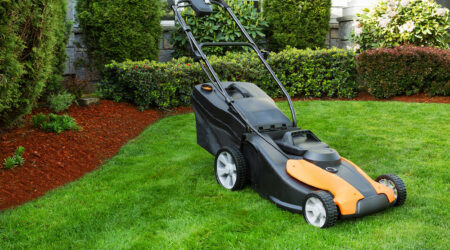 7 Tips For Maintaining a Lush Green Lawn