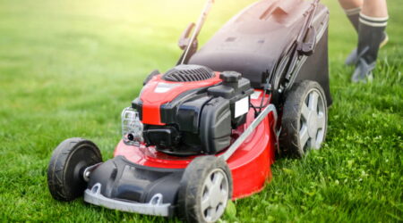 Top 6 lawn mowers to buy